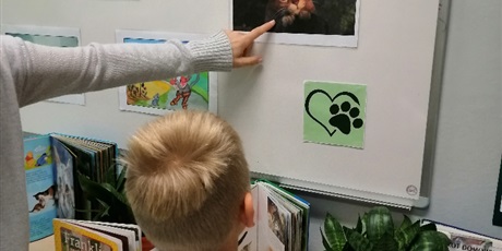 Powiększ grafikę: Nauczyciel pokacyje uczniowi zdjęcie kota przyczepione na tablicy.