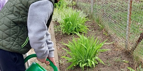 Powiększ grafikę: Chłopiec podlewa zieloną konewką kwiaty na rabacie.