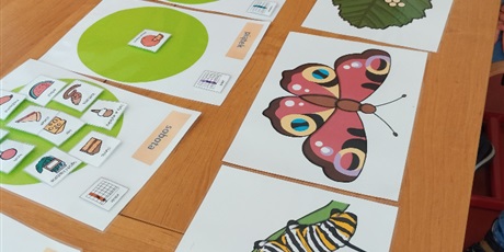 Powiększ grafikę: Na stoliku leżą kartki z kolorowymi rysunkami motyla, liścia, gąsiennicy.