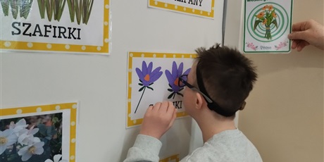 Powiększ grafikę: Chłopiec stoi przy tablicy, na której przyklejone są zdjęcia wiosennych kwiatów.