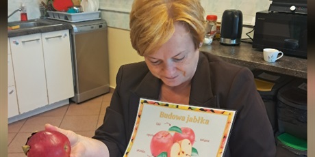 Powiększ grafikę: Kolaż trzech zdjęć, na których uczniowie poznają budowę jabłka.