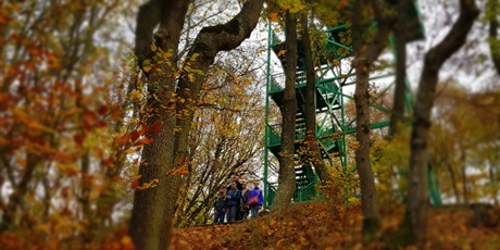 Powiększ grafikę: jesienny-rajd-po-trojmiejskim-parku-krajobrazowym-127964.jpg