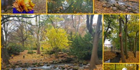 Powiększ grafikę: jesienny-rajd-po-trojmiejskim-parku-krajobrazowym-127974.jpg
