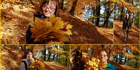 Powiększ grafikę: jesienny-rajd-po-trojmiejskim-parku-krajobrazowym-14397.jpg