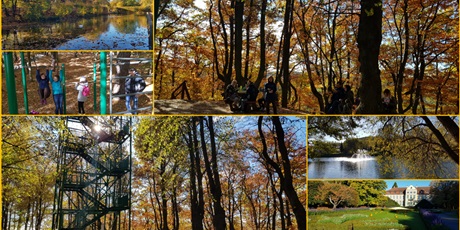 Powiększ grafikę: jesienny-rajd-po-trojmiejskim-parku-krajobrazowym-14399.jpg