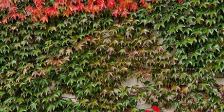 NAGRODA W KONKURSIE FOTOGRAFICZNYM