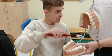 Powiększ grafikę: Chłopiec uczy się na modelu uzębienia czyszczenie zębów. 