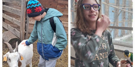 Powiększ grafikę: Kolaż dwóch zdjęć, po lewej chłopiec karmi kozła, o prawej dziewczynka karmi papużkę.