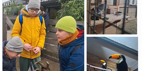 Powiększ grafikę: Kolaż trzech zdjęć, po lewej trzech chłopców głaszcze kozła, po prawej tukany i małpka w klatce.