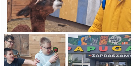 Powiększ grafikę: Kolaż trzech zdjęć, uczniowie stoją przed papugarnią oraz karmią papugę i alpakę.