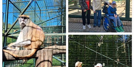 UCZNIOWIE KLASY 5B Z WIZYTĄ W ZOO