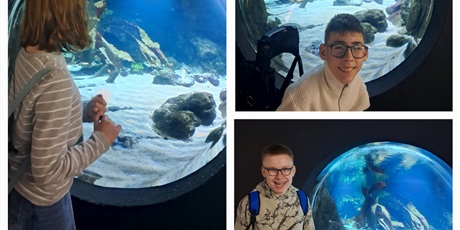 WIZYTA W AKWARIUM GDYŃSKIM