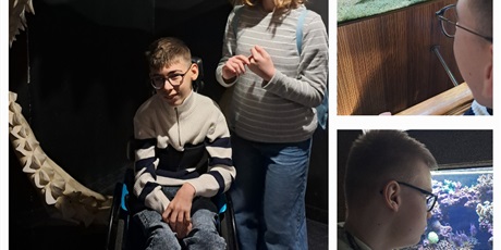 Powiększ grafikę: Kolaż trzech zdjęć prezentujących uczniów obserwujących akwaria.