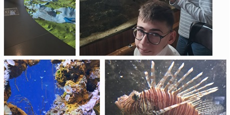 Powiększ grafikę: Kolaż trzech zdjęć prezentujących uczniów obserwujących akwaria.