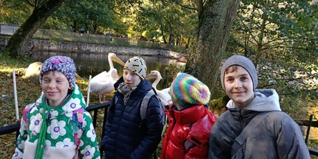 Powiększ grafikę: Czworo uczniów stoi obok ogrodzenia za którym stoją pelikany.